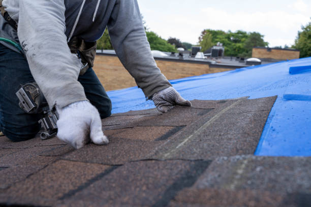 Best Local Roofing Companies  in Toledo, IA