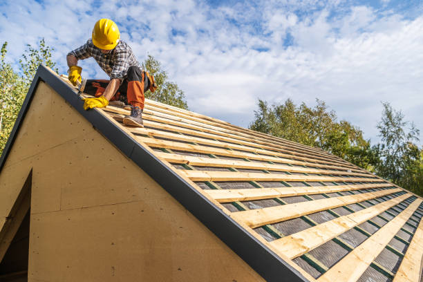 Best Storm Damage Roof Repair  in Toledo, IA